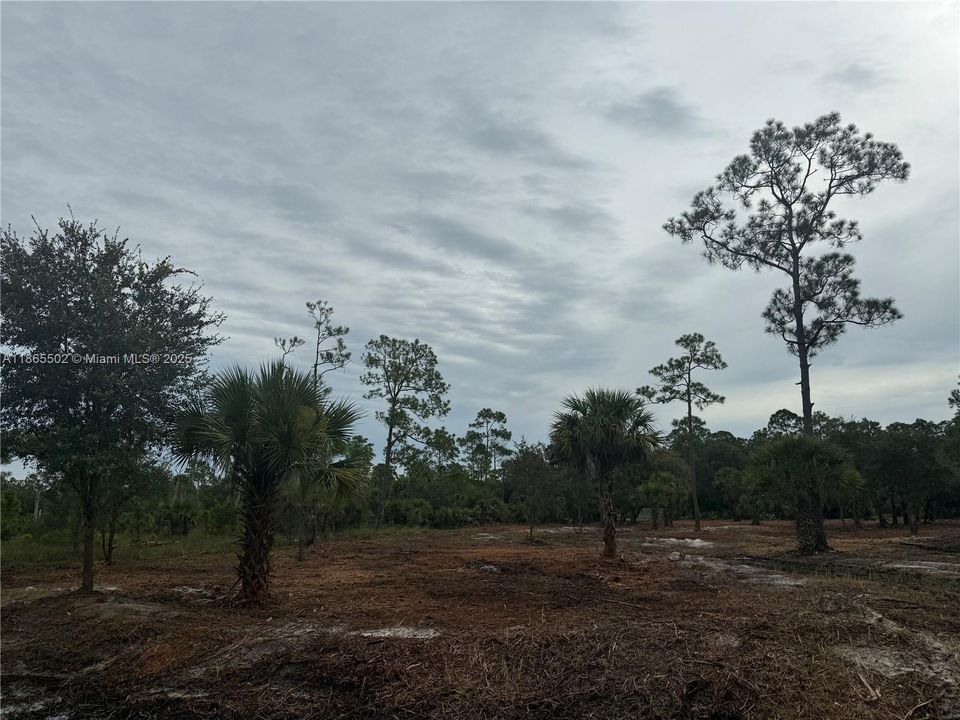 合同活跃: $49,999 (1.25 acres)