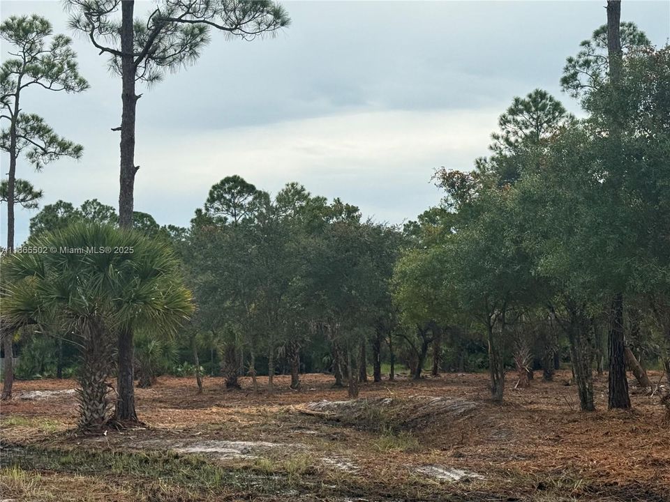 合同活跃: $49,999 (1.25 acres)