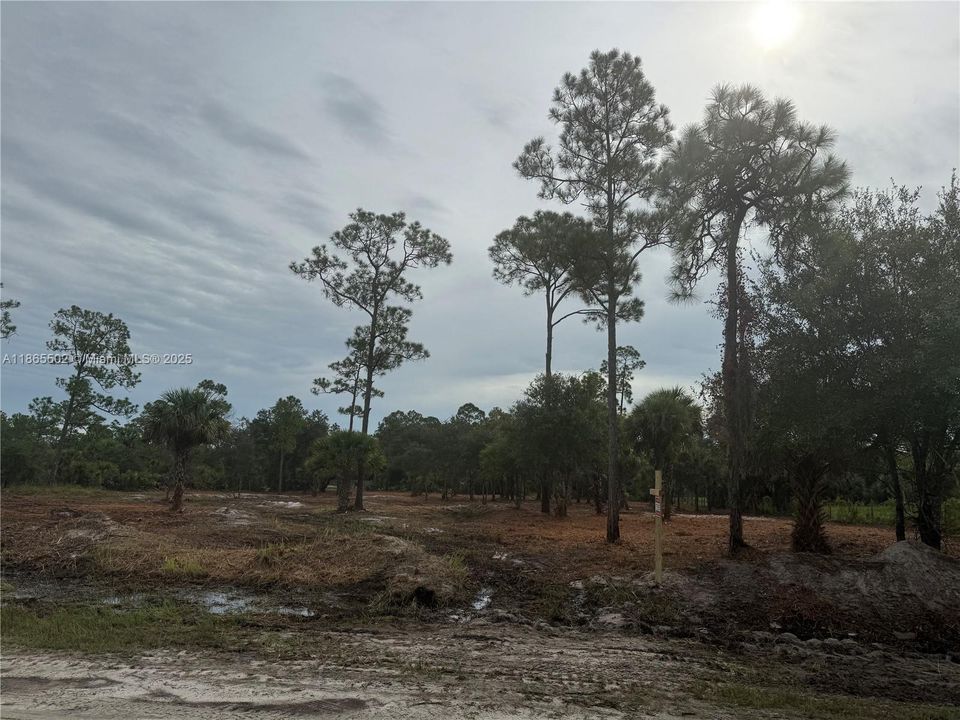 合同活跃: $49,999 (1.25 acres)