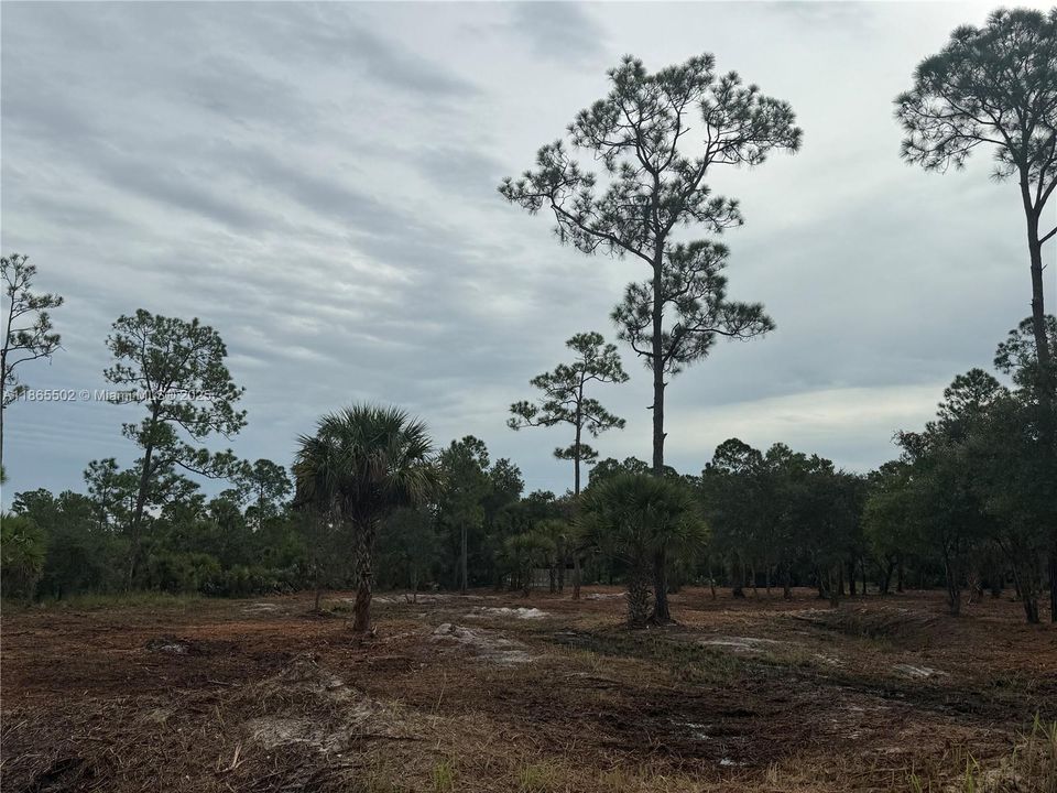 合同活跃: $49,999 (1.25 acres)