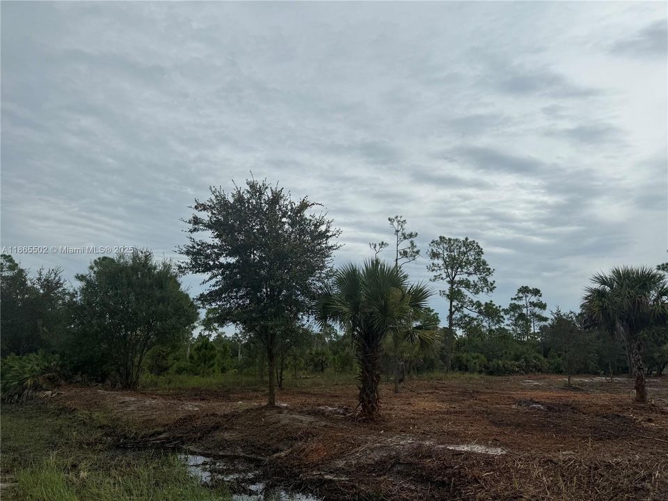 合同活跃: $49,999 (1.25 acres)