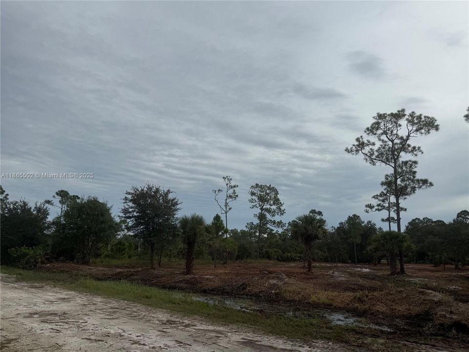 合同活跃: $49,999 (1.25 acres)