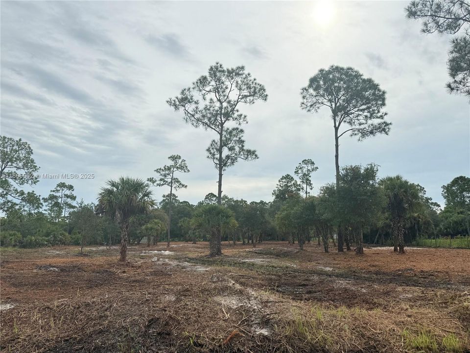 合同活跃: $49,999 (1.25 acres)