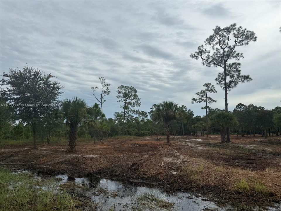 合同活跃: $49,999 (1.25 acres)