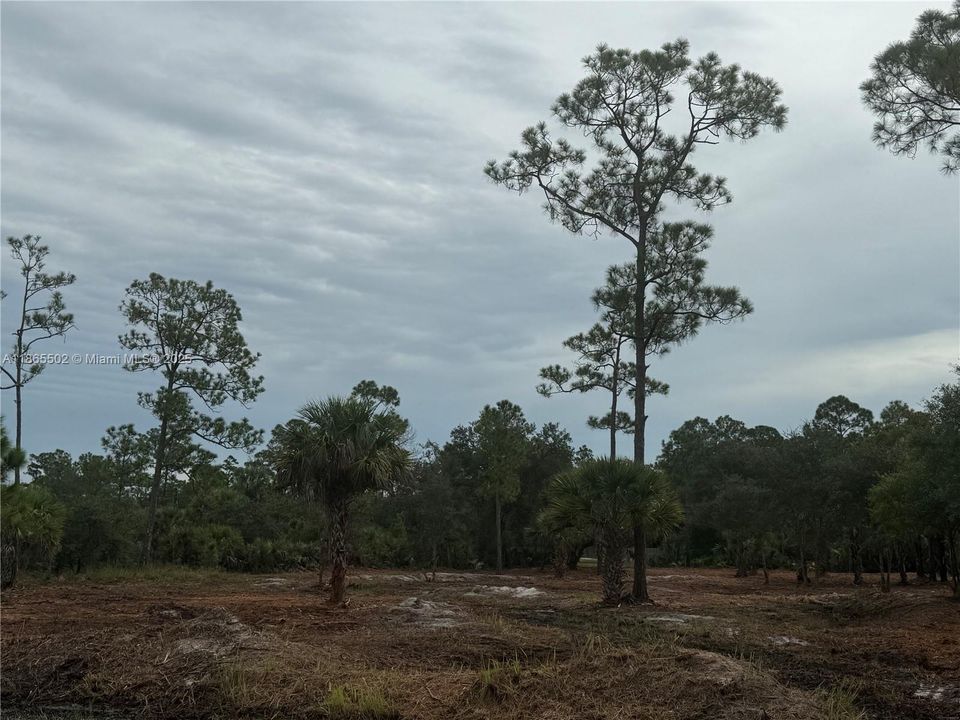 合同活跃: $49,999 (1.25 acres)