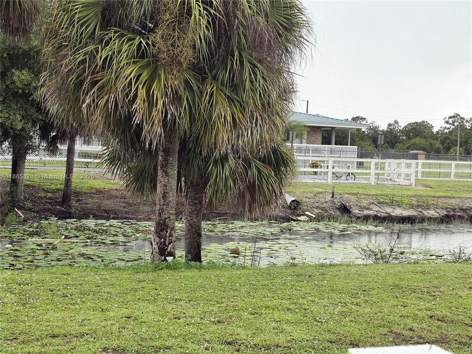 На продажу: $45,000 (1.09 acres)