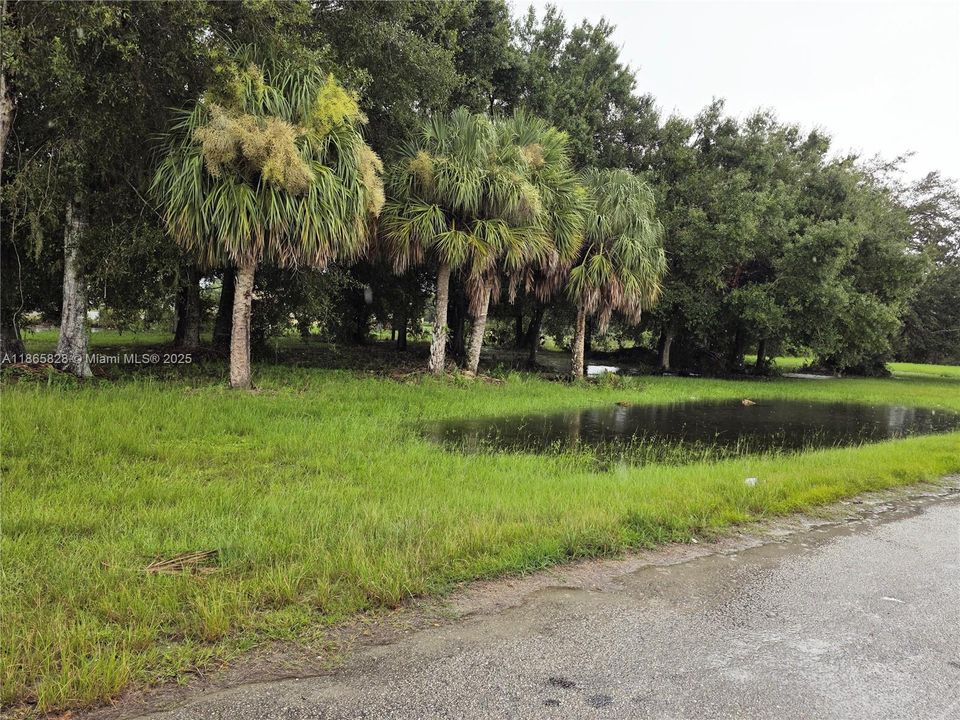 На продажу: $45,000 (1.09 acres)