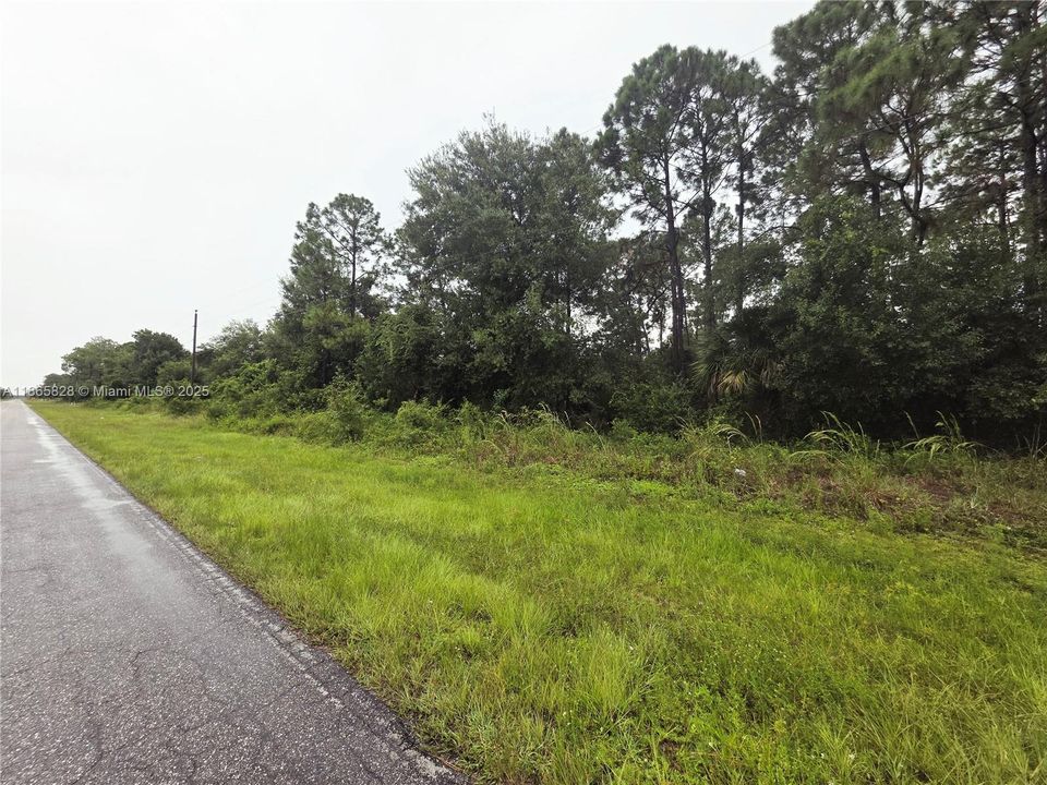 На продажу: $45,000 (1.09 acres)