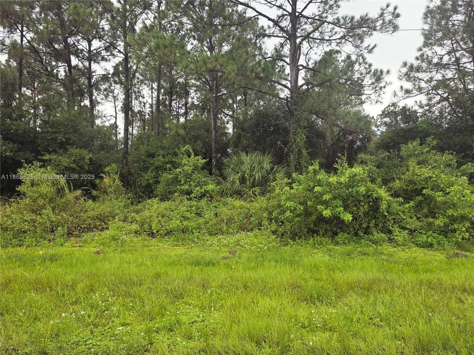 На продажу: $45,000 (1.09 acres)