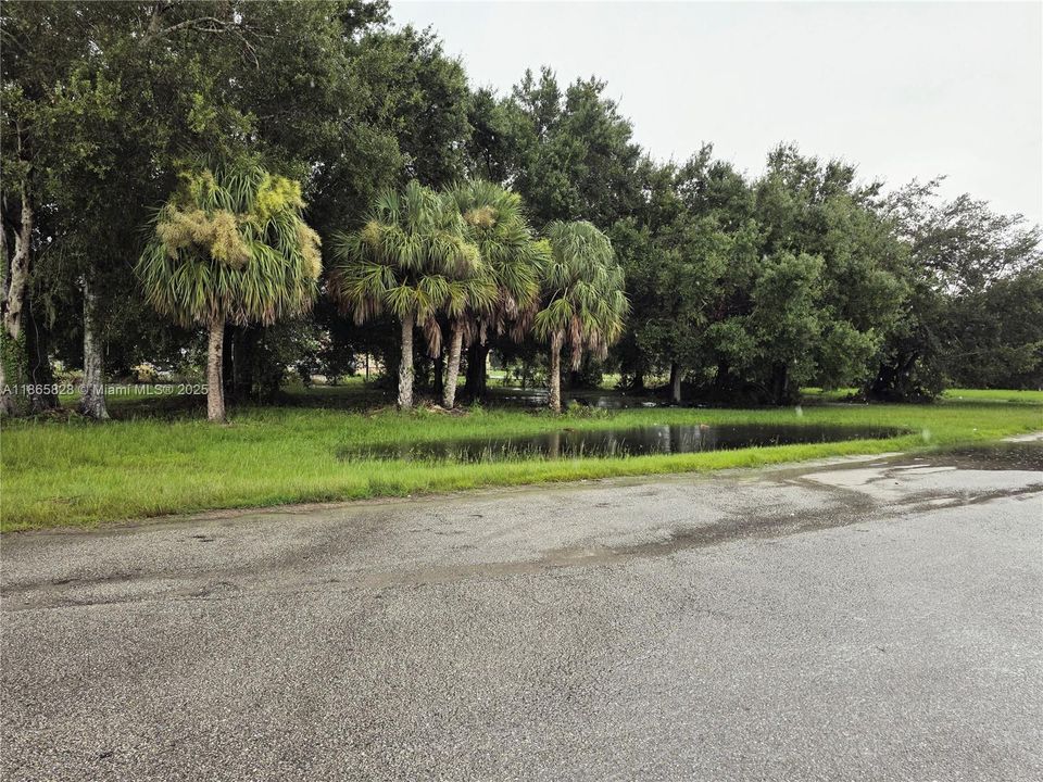 На продажу: $45,000 (1.09 acres)