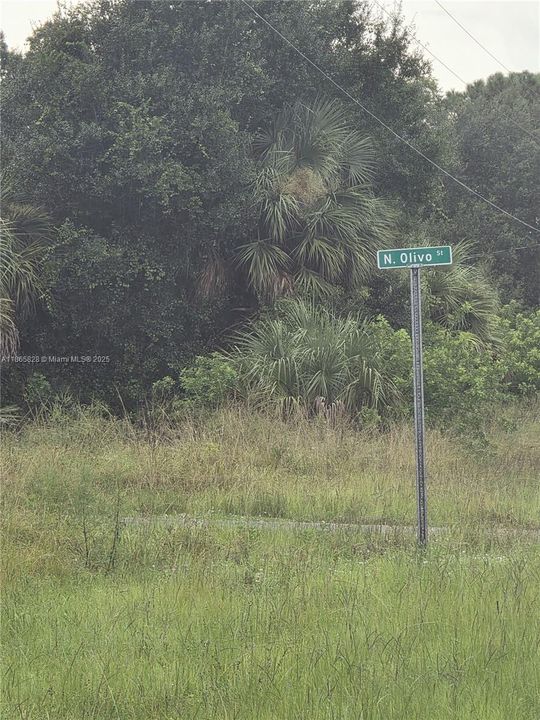 На продажу: $45,000 (1.09 acres)