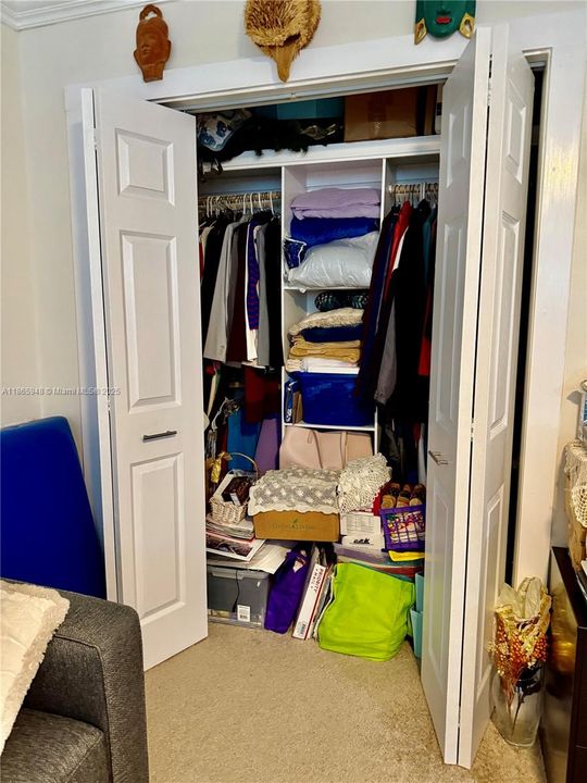 Custom closets in  Second bedroom closet