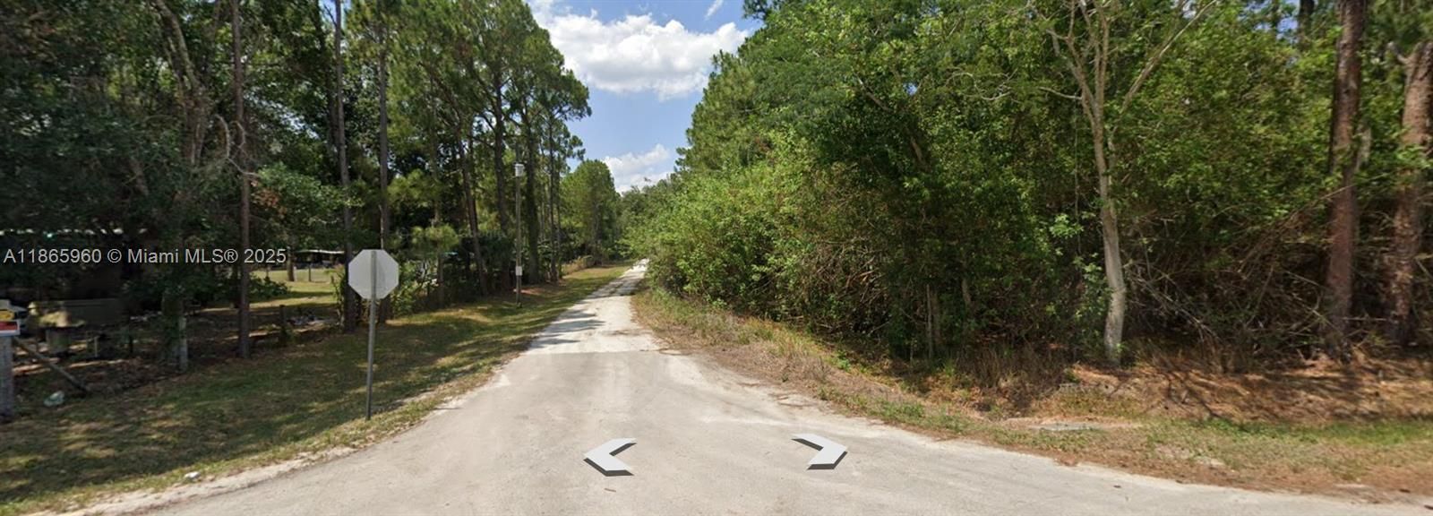 For Sale: $12,900 (0.46 acres)