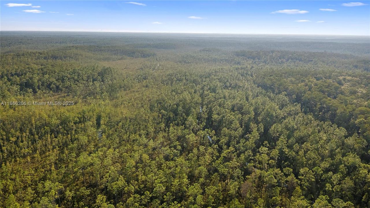 For Sale: $29,999 (1.25 acres)