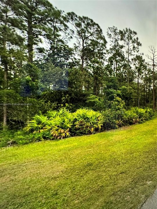 合同活跃: $19,000 (0.17 acres)