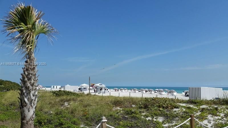 合同活跃: $339,000 (0 贝兹, 1 浴室, 600 平方英尺)