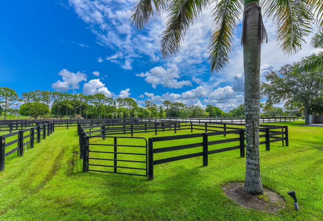 2780 Skipiks Way Wellington FL-large-002