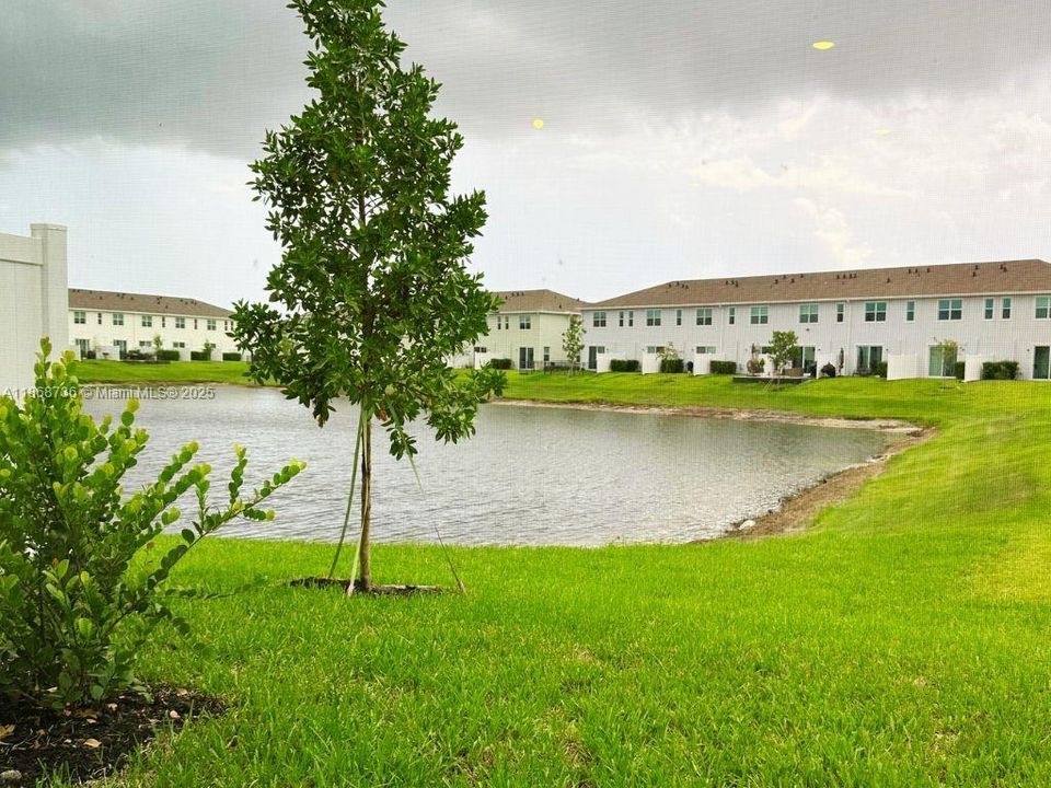 Недавно арендовано: $2,300 (3 спален, 2 ванн, 1635 Квадратных фут)