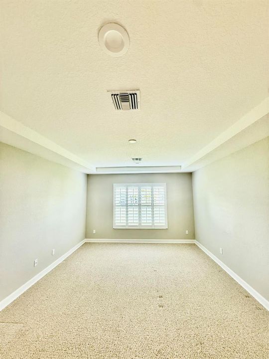 Enormous Master Suite, Tray Ceiling