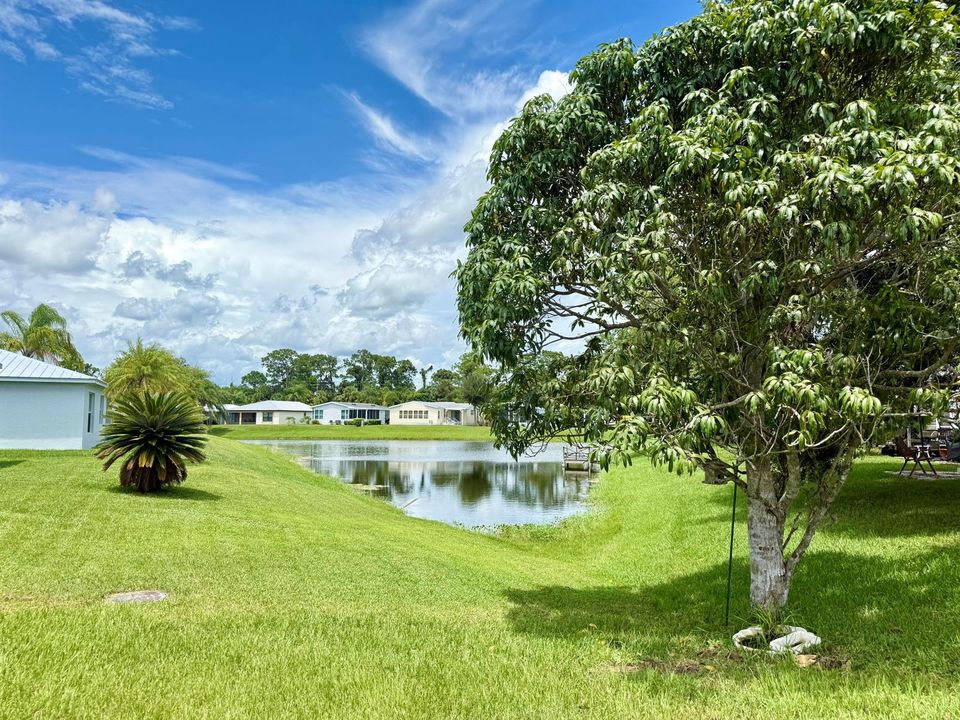 Water View From Porch