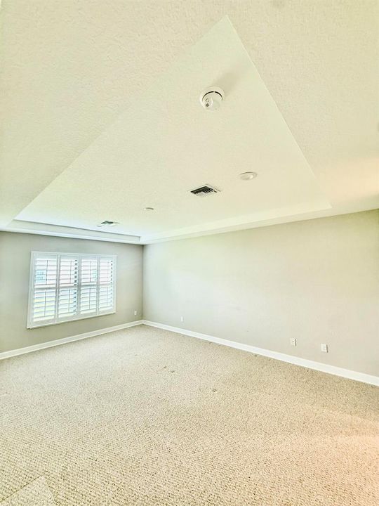 Enormous Master Suite, Tray Ceiling