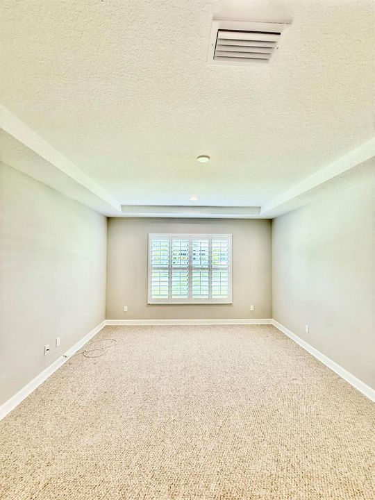Tray Ceilings Plantation Shutters