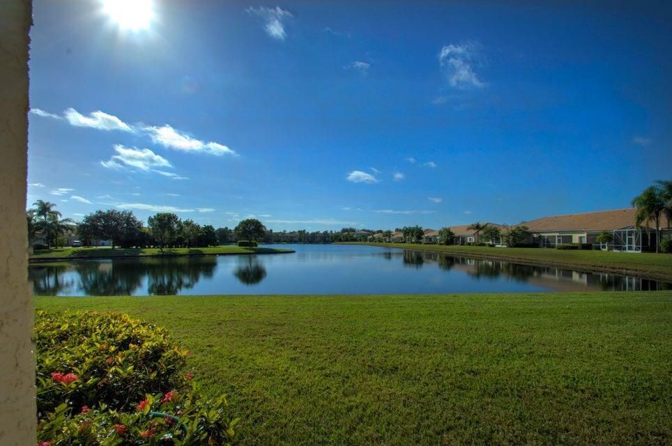 Lake view