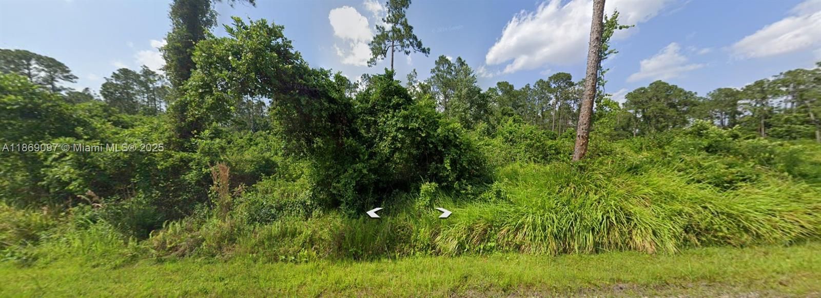 For Sale: $16,900 (0.23 acres)