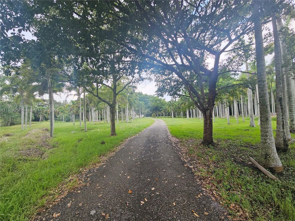 В аренду: $8,000 (5 спален, 5 ванн, 5187 Квадратных фут)