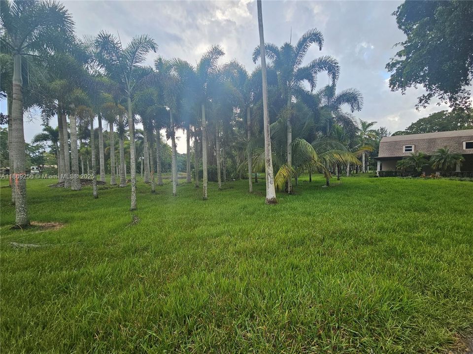 В аренду: $8,000 (5 спален, 5 ванн, 5187 Квадратных фут)