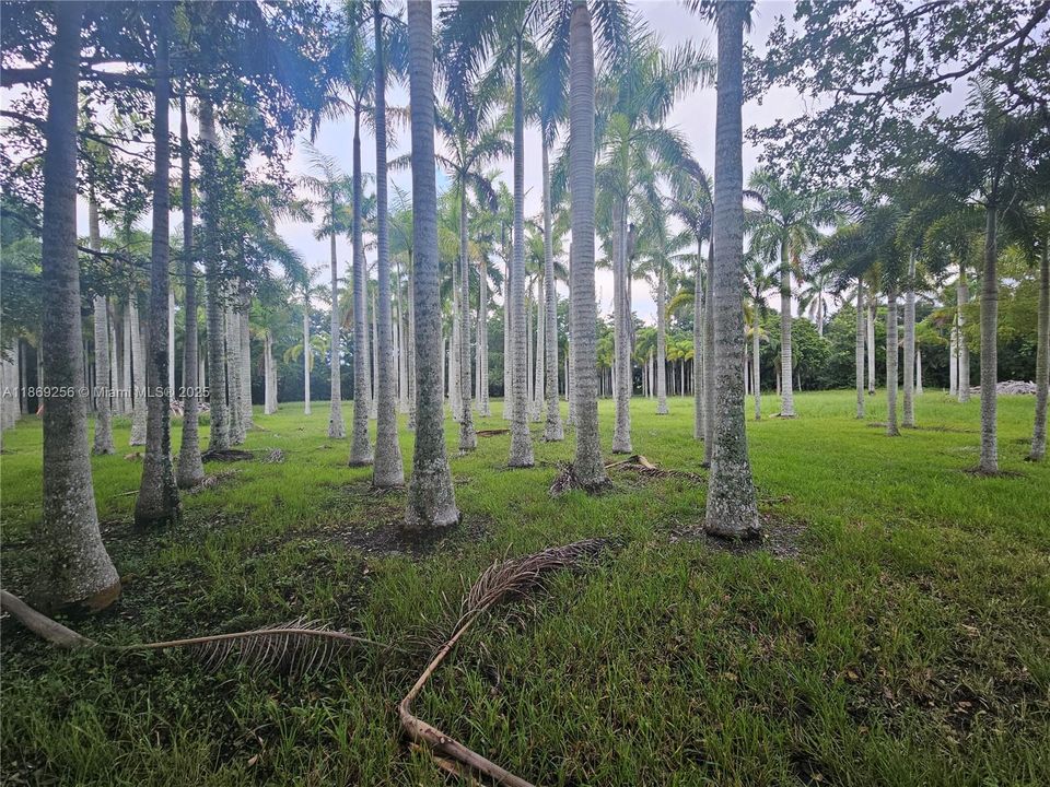 В аренду: $8,000 (5 спален, 5 ванн, 5187 Квадратных фут)