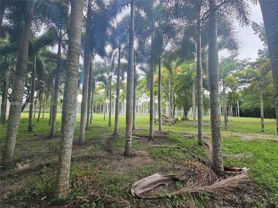 В аренду: $8,000 (5 спален, 5 ванн, 5187 Квадратных фут)