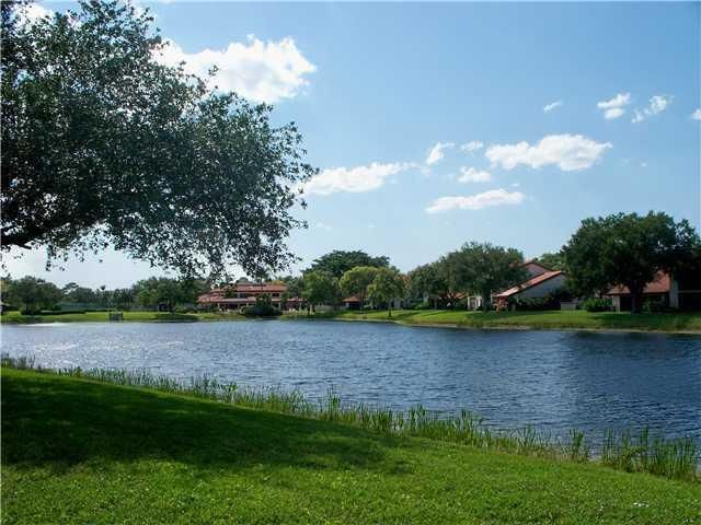 montego lake
