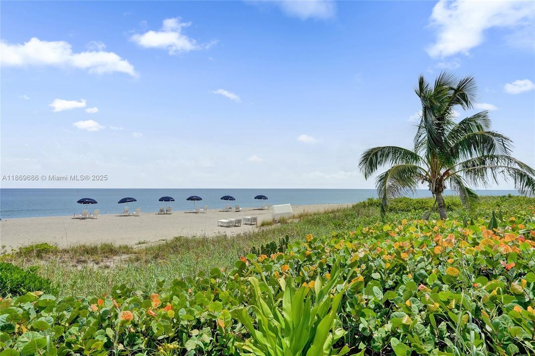 For Sale: $1,550,000 (2 beds, 2 baths, 1448 Square Feet)