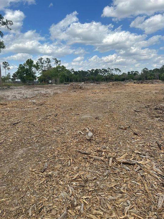 待售: $1,500,000 (0 贝兹, 0 浴室, 0 平方英尺)