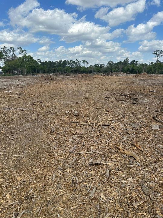 待售: $1,500,000 (0 贝兹, 0 浴室, 0 平方英尺)