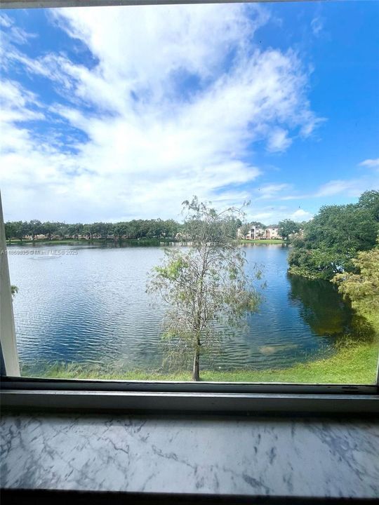 BEAUTIFUL WATER VIEW FROM LIVING ROOM