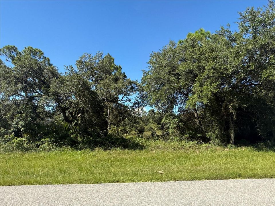 最近售出: $54,999 (1.25 acres)