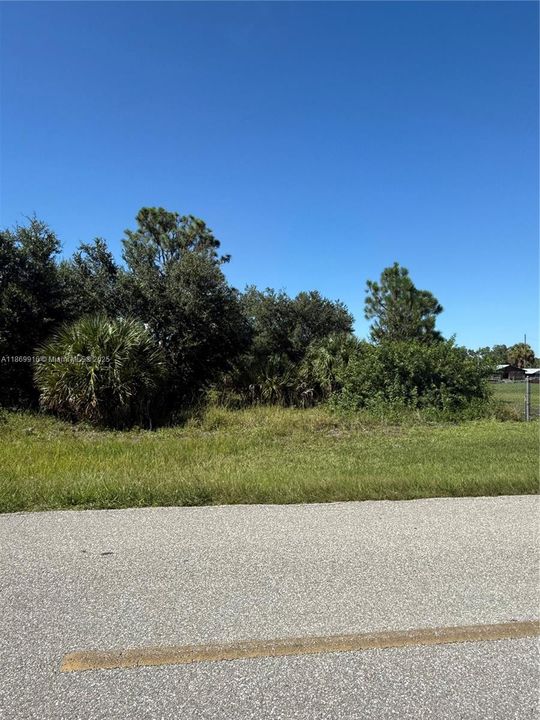 最近售出: $54,999 (1.25 acres)