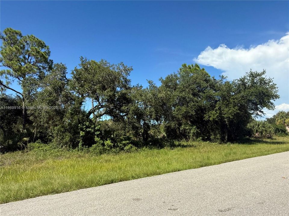 最近售出: $54,999 (1.25 acres)