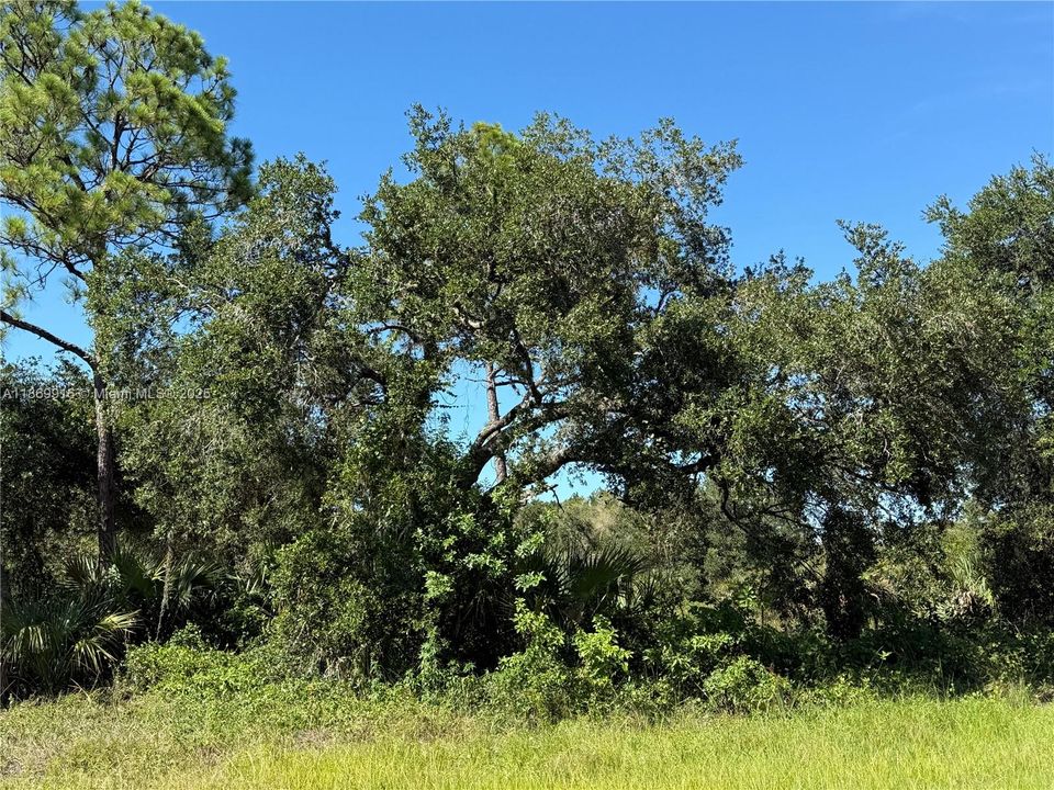 最近售出: $54,999 (1.25 acres)