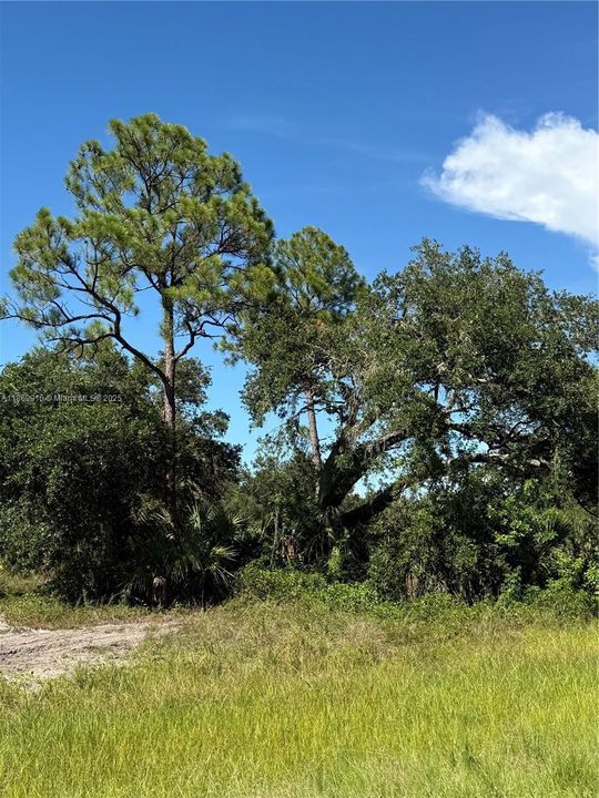 最近售出: $54,999 (1.25 acres)