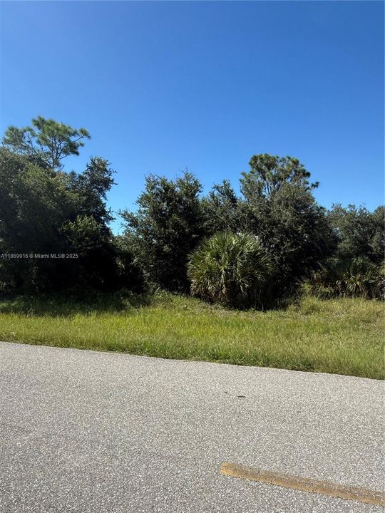 最近售出: $54,999 (1.25 acres)