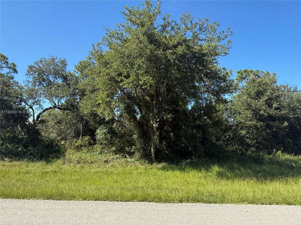 最近售出: $54,999 (1.25 acres)