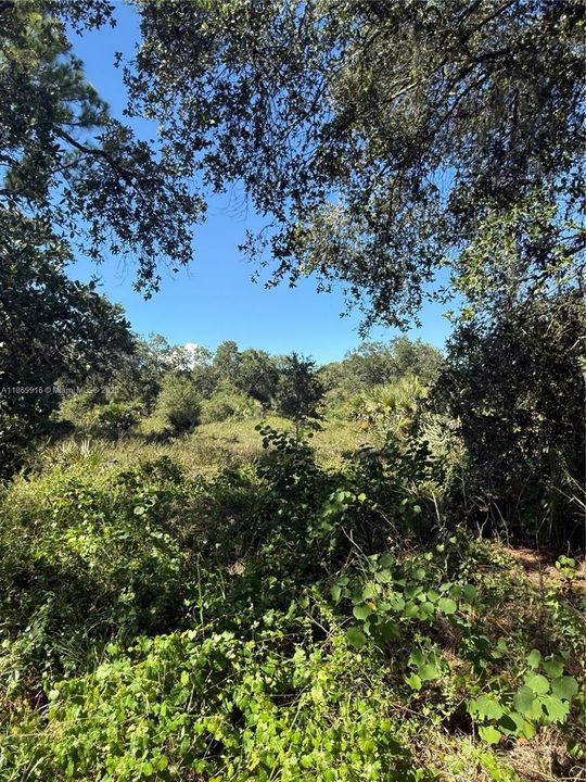 最近售出: $54,999 (1.25 acres)