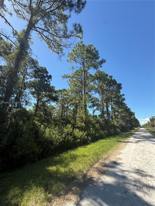 For Sale: $45,499 (1.25 acres)