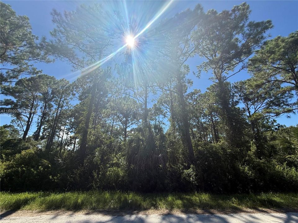 For Sale: $45,499 (1.25 acres)