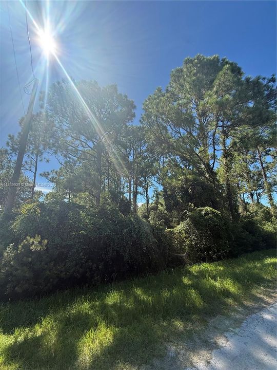 For Sale: $45,499 (1.25 acres)