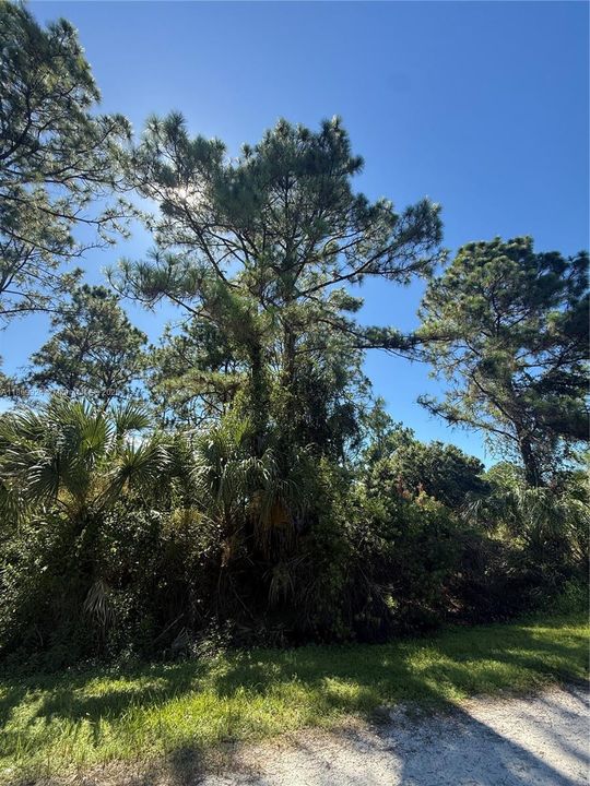 For Sale: $45,499 (1.25 acres)