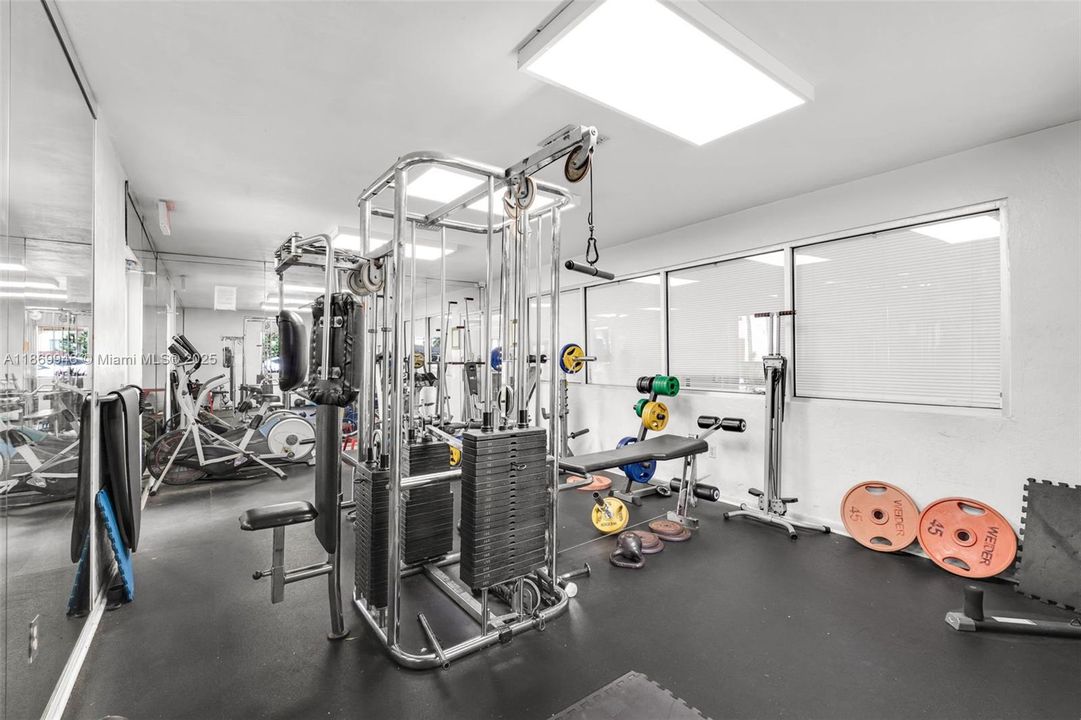 Activo con contrato: $1,800 (1 camas, 1 baños, 703 Pies cuadrados)